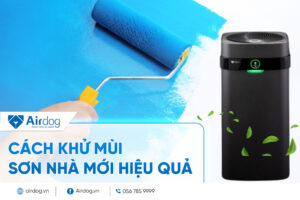 cách khử mùi sơn nhà mới