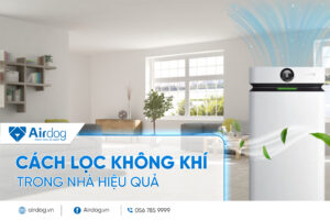 cách lọc không khí trong nhà